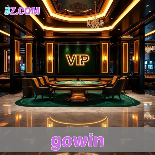 Experimente a Exclusividade da Seção VIP na Gowin AGORA!